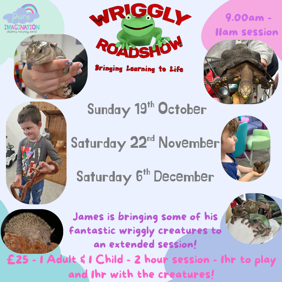Pure Imagination Wriggly Roadshow