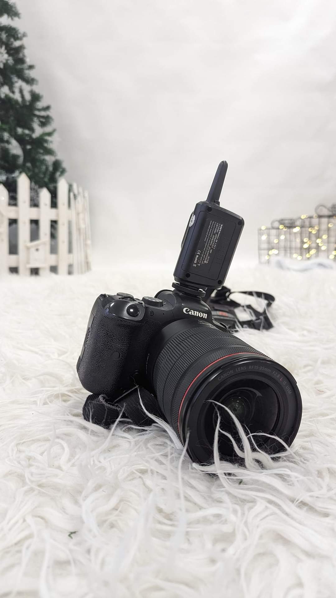 Christmas Photoshoot with Chelsea Shoesmith Photography