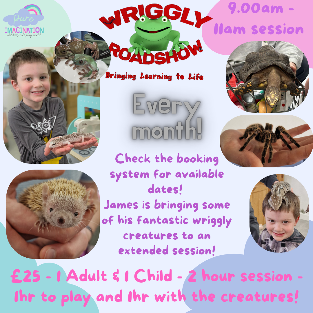Pure Imagination Wriggly Roadshow