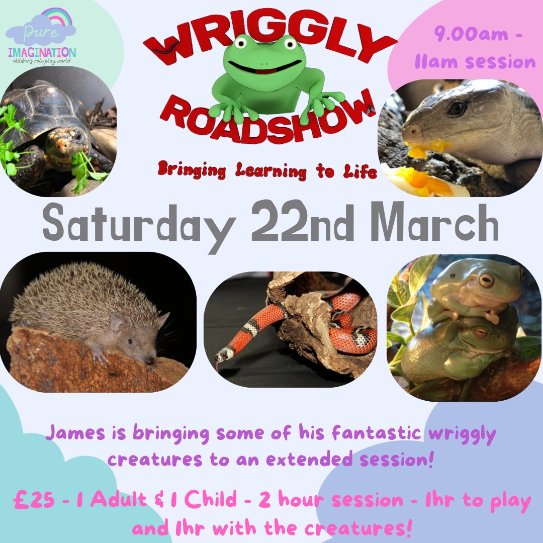 Pure Imagination Wriggly Roadshow